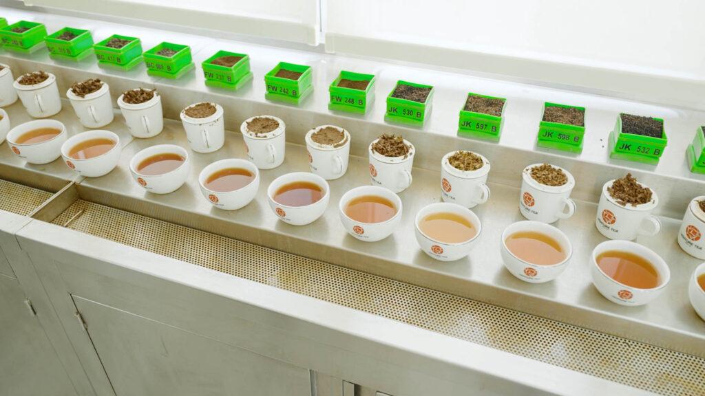 Tea tasting room at venture tea, tarlton, black tea, green tea, pure ceylon tea, bulk tea, blending, exporter, manufacturer, producer, copacking, private label, colombo, sri lanka