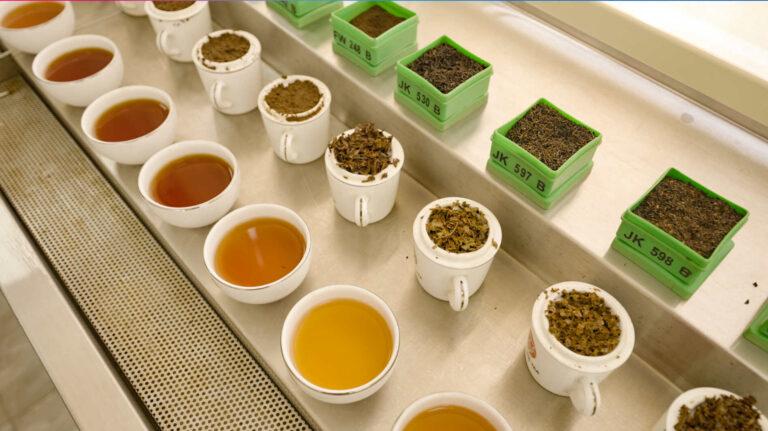 Tea Tasting, Tea Packing, Warehouse, Factory, Tea Exporter, Tea Wholesale