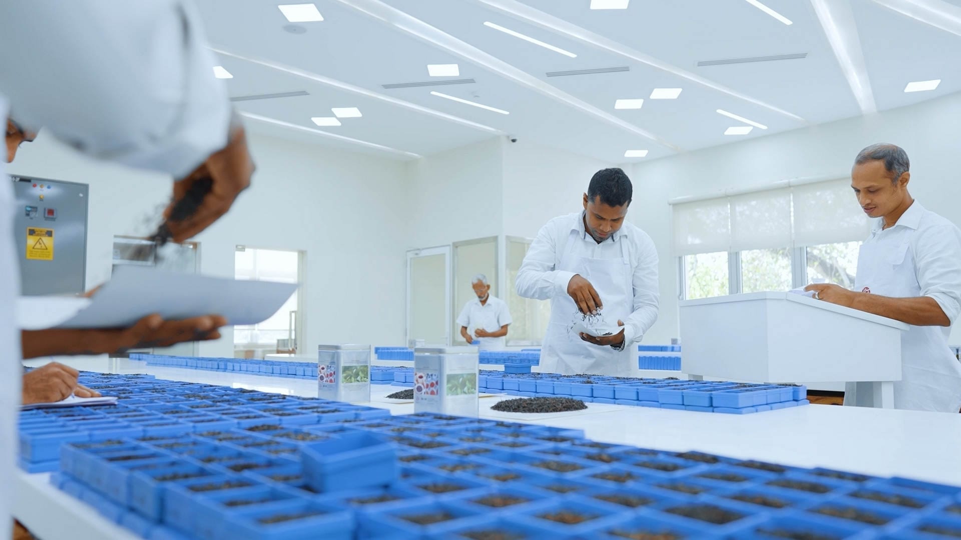 grading tea at venture tea factory, private label tea, wholesale and bulk tea exporter, pure ceylon tea, largest tea producer, largest tea exporter