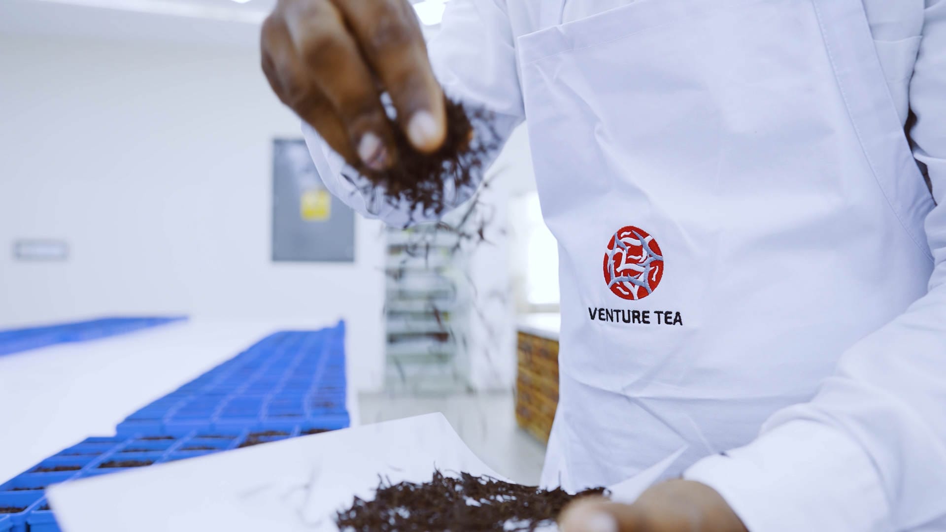 grading tea at venture tea factory, private label tea, wholesale and bulk tea exporter, pure ceylon tea, largest tea producer, largest tea exporter