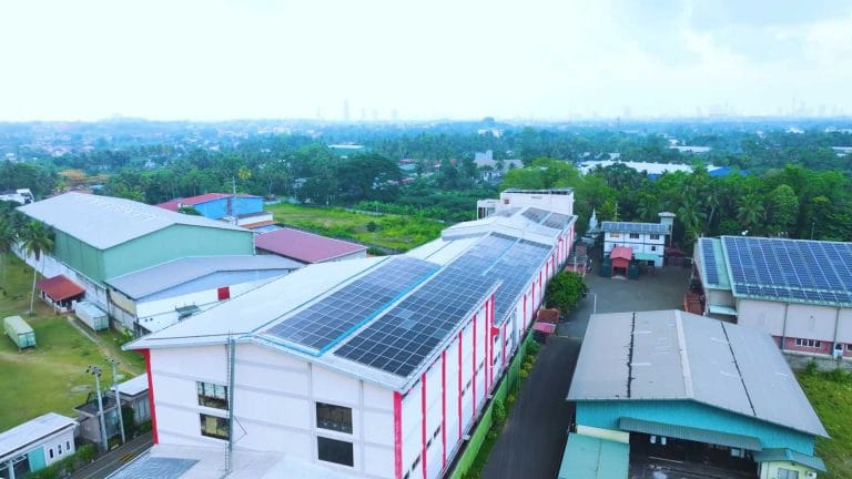 venture tea factory using solar energy, private label tea, wholesale and bulk tea exporter, pure ceylon tea, largest tea producer, largest tea exporter
