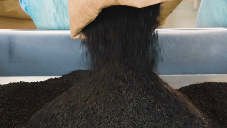 tea leaves processing at venture tea, private label tea, wholesale and bulk tea exporter, pure ceylon tea, largest tea producer, largest tea exporter