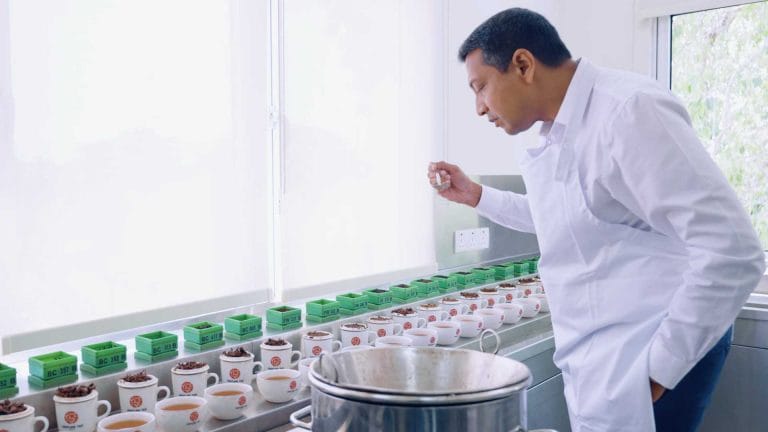 tea tasting at venture tea factory, pure ceylon tea, wholesale and bulk tea exporter, private tea label