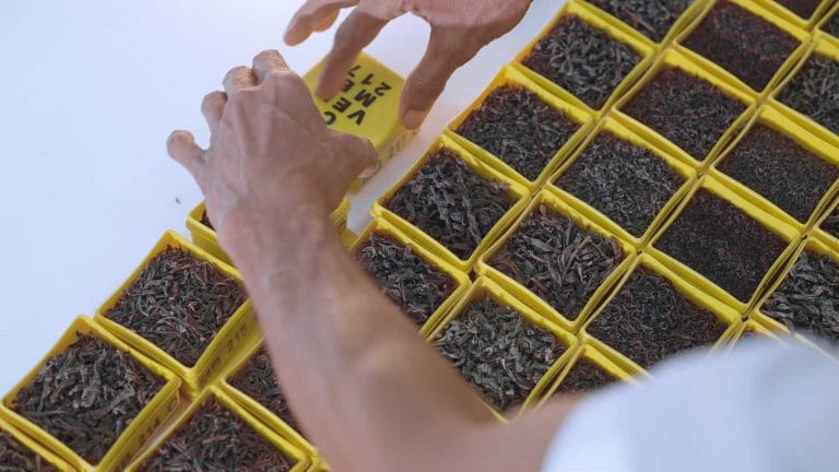 tea grading at venture tea factory, pure ceylon tea, wholesale and bulk tea exporter, private tea label