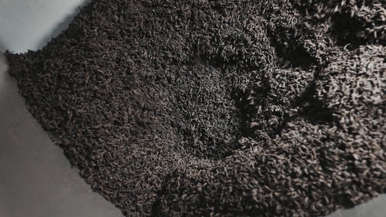 tea production and packaging in venture tea, private label tea, wholesale and bulk tea exporter, pure ceylon tea, largest tea producer, largest tea exporter