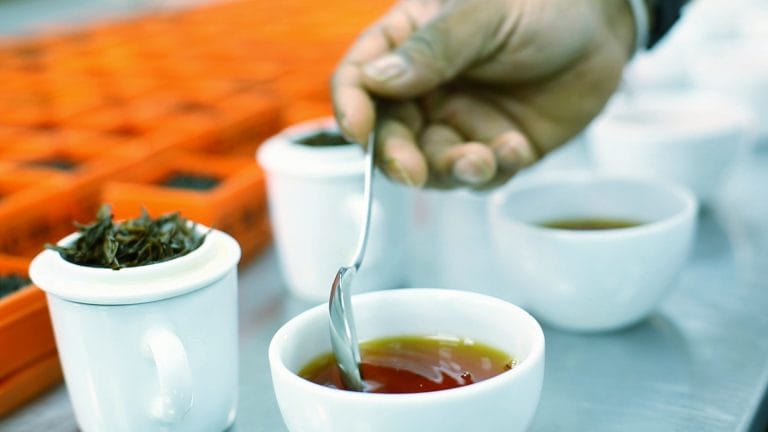 tea tasting at venture tea factory, pure ceylon tea, wholesale and bulk tea exporter, private tea label