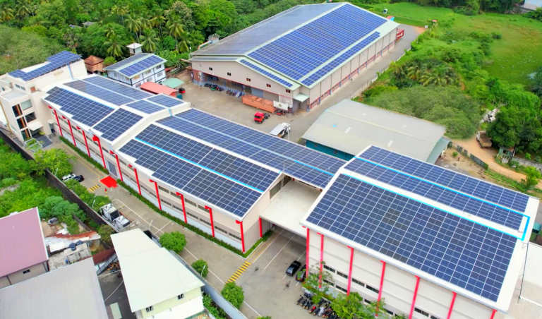 venture tea using solar energy, pure ceylon tea, wholesale and bulk tea exporter, private tea label, largest tea producer